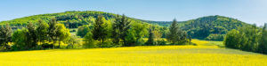 Panorama of meadows and rapeseed fields near Merxheim, Naheland, Panorama of meadows and rapeseed fields near Merxheim, Naheland,